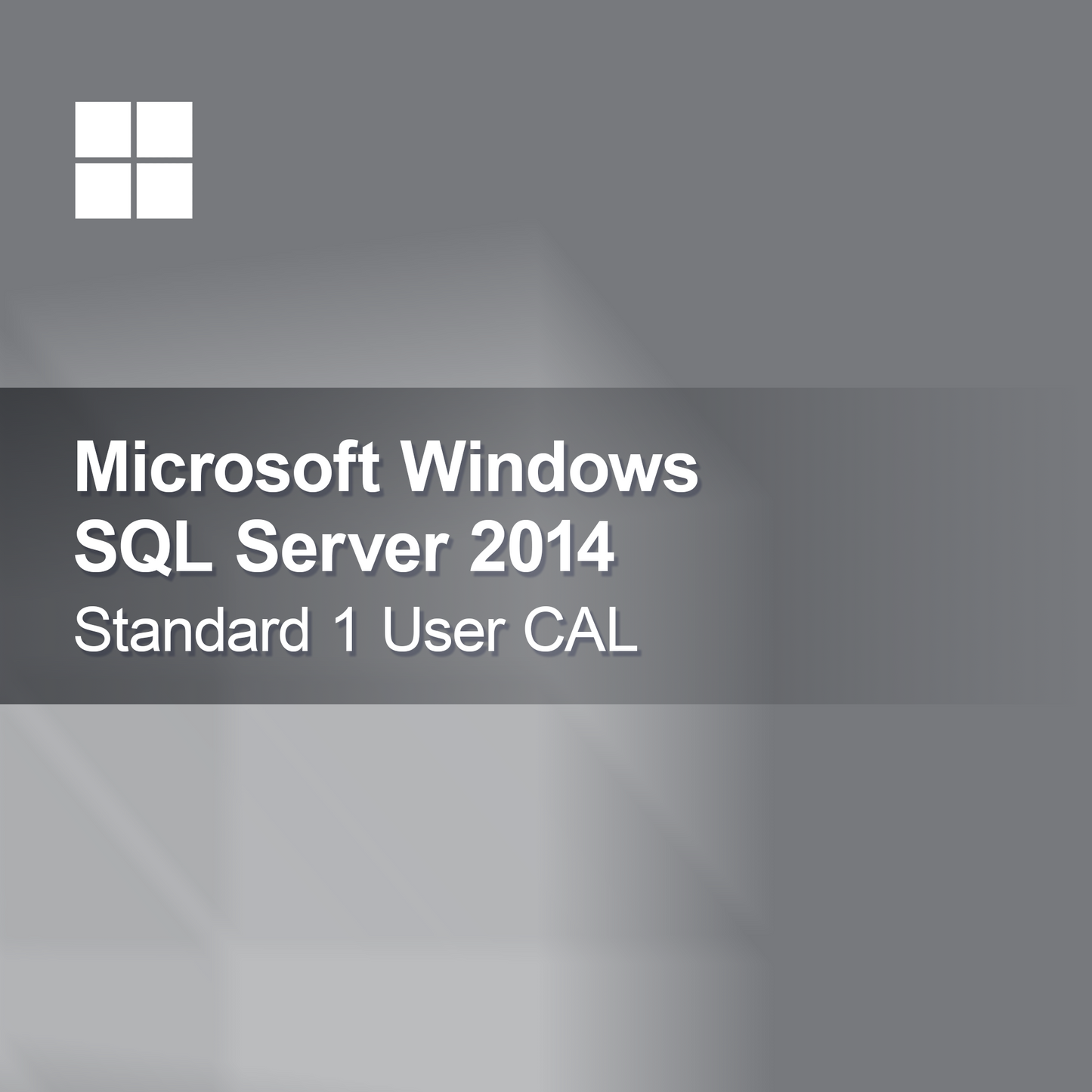 Microsoft SQL Server 2014 Standard 1 bruger CAL