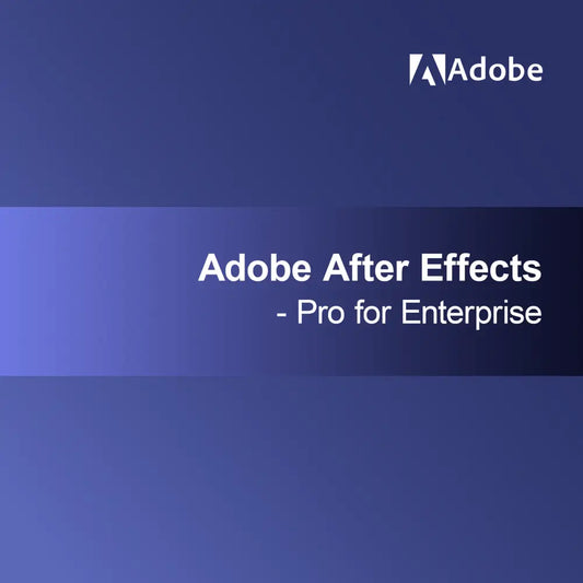 Adobe After Effects - Pro voor Enterprise