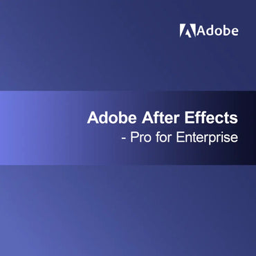 Adobe After Effects - Pro voor Enterprise